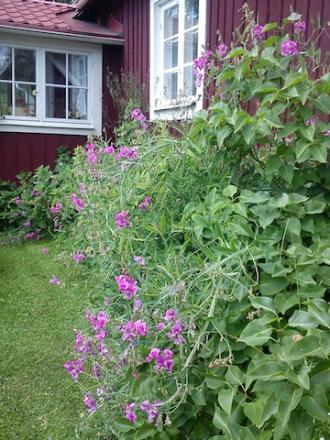 gallery_1028_4204_78915.jpg