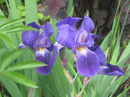 gallery_10539_2455_170281.jpg