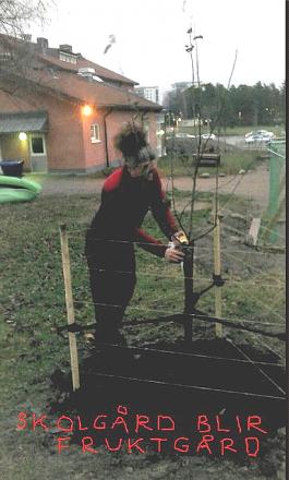 gallery_126_5123_183662.jpg