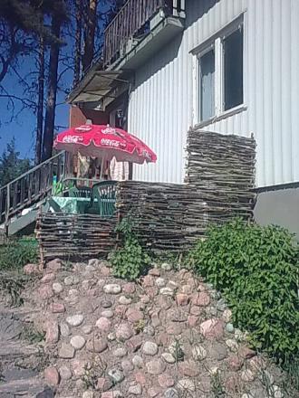 gallery_21017_5390_108967.jpg