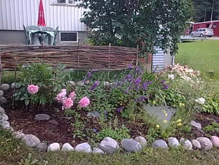 gallery_21017_5390_69756.jpg