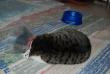 tn_gallery_2529_1144_77242.jpg