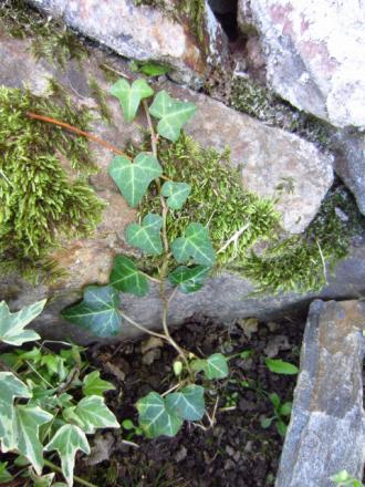 gallery_77562_5400_27977.jpg