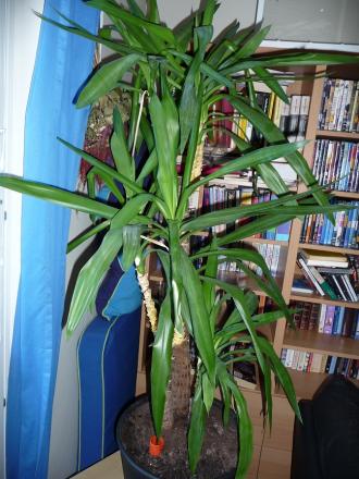 gallery_77729_5422_102234.jpg