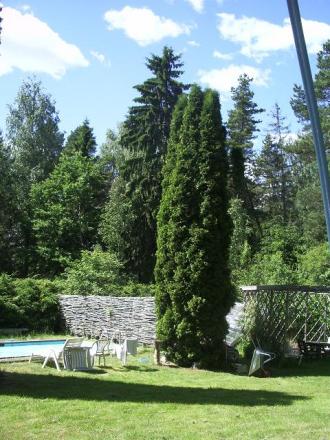 gallery_41107_5425_27950.jpg