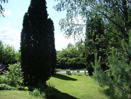 gallery_41107_5425_70009.jpg