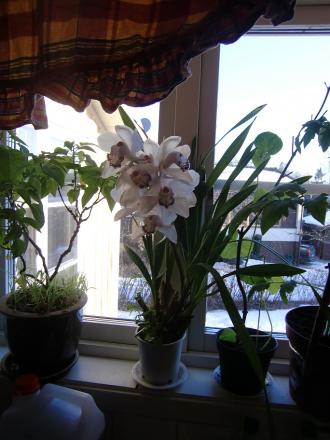 gallery_24498_5445_125683.jpg