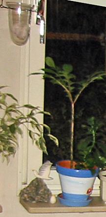 gallery_78100_5451_55196.jpg