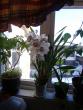 tn_gallery_24498_5445_125683.jpg