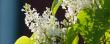 tn_gallery_77771_5495_47571.jpg