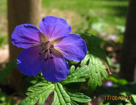 gallery_71323_5497_17324.jpg