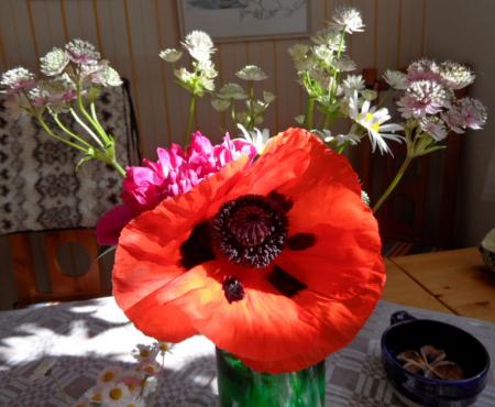 gallery_6516_2772_177327.jpg