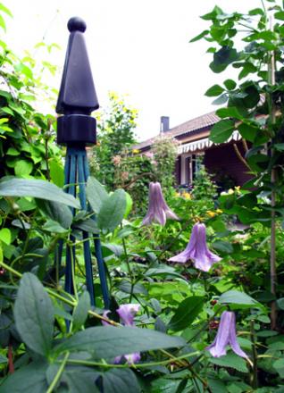 gallery_276_1322_102019.jpg
