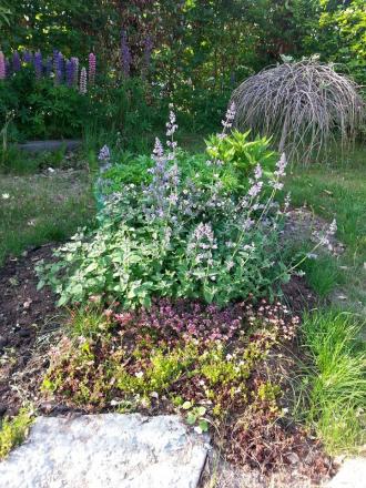 gallery_60328_5551_12899.jpg