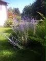 gallery_77044_5571_3179.jpg