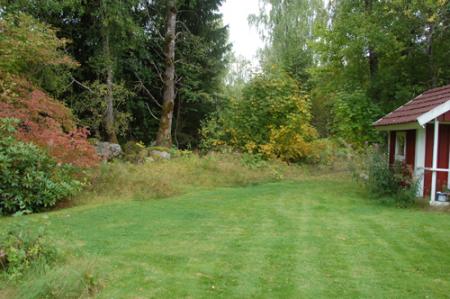 gallery_76026_5568_115009.jpg