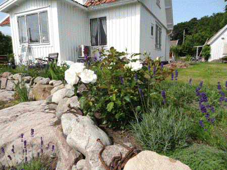 gallery_78927_5576_31164.gif