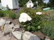 tn_gallery_78927_5576_33433.gif