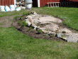 tn_gallery_78927_5576_73813.gif