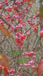 tn_gallery_79173_5599_35331.png