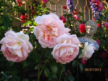 gallery_71323_5497_8539.jpg
