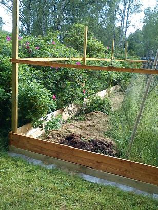 gallery_79570_5653_33.jpg