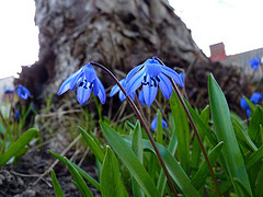 gallery_8249_5668_17750.jpg
