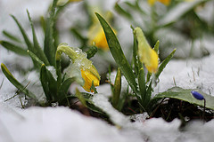 gallery_8249_5668_9317.jpg