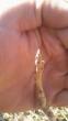 tn_gallery_33891_5662_137827.jpg