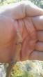 tn_gallery_33891_5662_231727.jpg