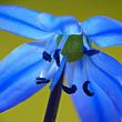 tn_gallery_8249_5668_603.jpg