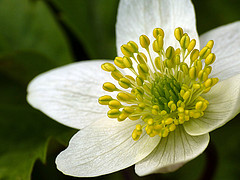 gallery_8249_5668_21235.jpg