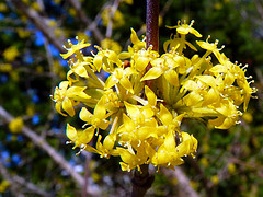 gallery_8249_5668_28081.jpg