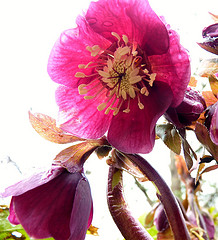 gallery_8249_5668_33600.jpg