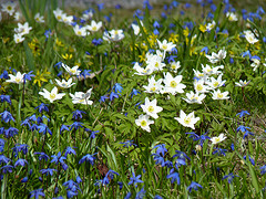gallery_8249_5668_40151.jpg