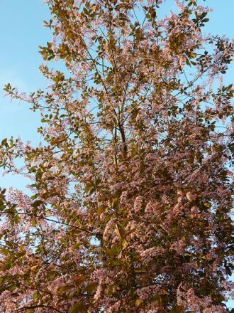 gallery_8249_5668_144683.jpg