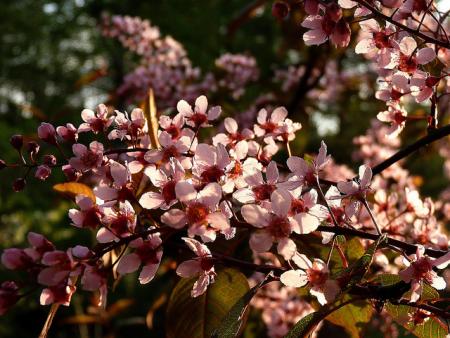 gallery_8249_5668_217901.jpg