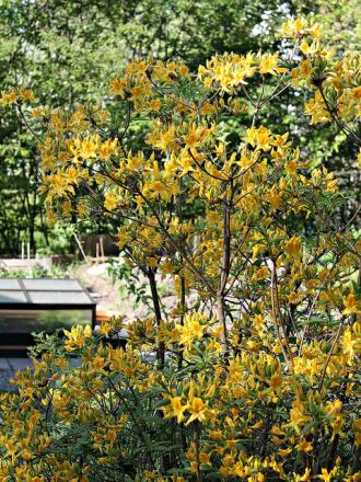gallery_8249_5668_449432.jpg