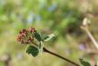 tn_gallery_8249_5668_68845.jpg