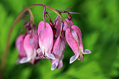 gallery_8249_5669_1175.jpg