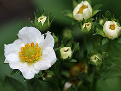 gallery_8249_5669_14967.jpg
