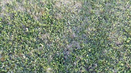 gallery_76554_5695_304622.jpg