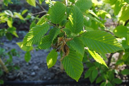 gallery_80130_5702_316301.jpg