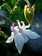 tn_gallery_8249_5669_5583.jpg