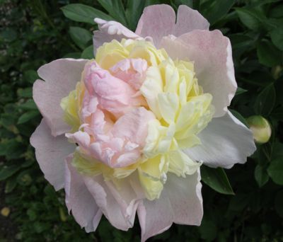 gallery_276_3515_4483.jpg