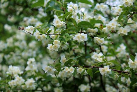 gallery_8249_5669_31846.jpg