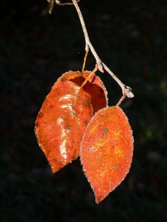 gallery_8249_5731_167763.jpg