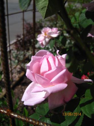 gallery_71323_5742_23672.jpg