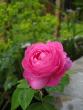 tn_gallery_71323_5742_48436.jpg