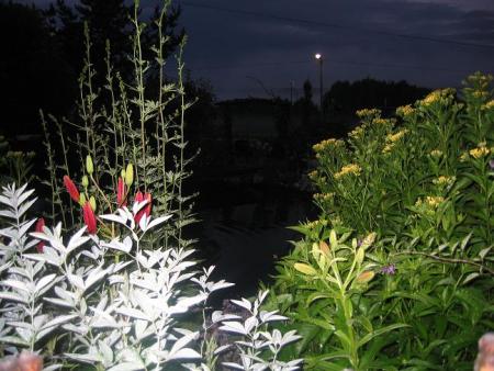 gallery_32730_5762_39070.jpg